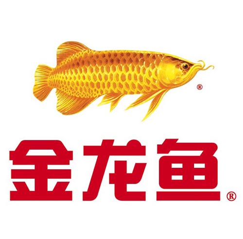 金龍魚